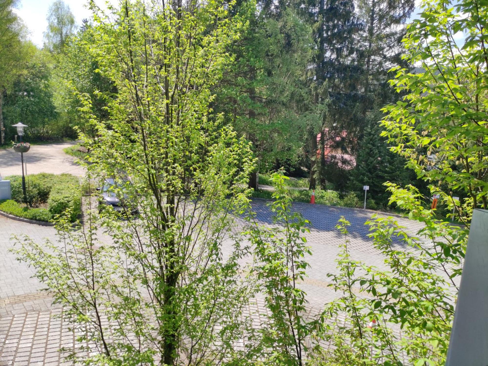 Tiche Anenske Apartmany S Hotelovym Servisem, S Kvalitni Bufetovou Snidani A S Exklusivnim Saunovym Wellness Grotta Spa - By Relax Гаррахов Экстерьер фото